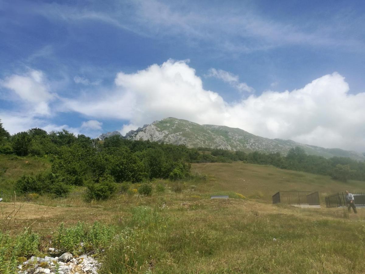 Camp Volujak Dış mekan fotoğraf