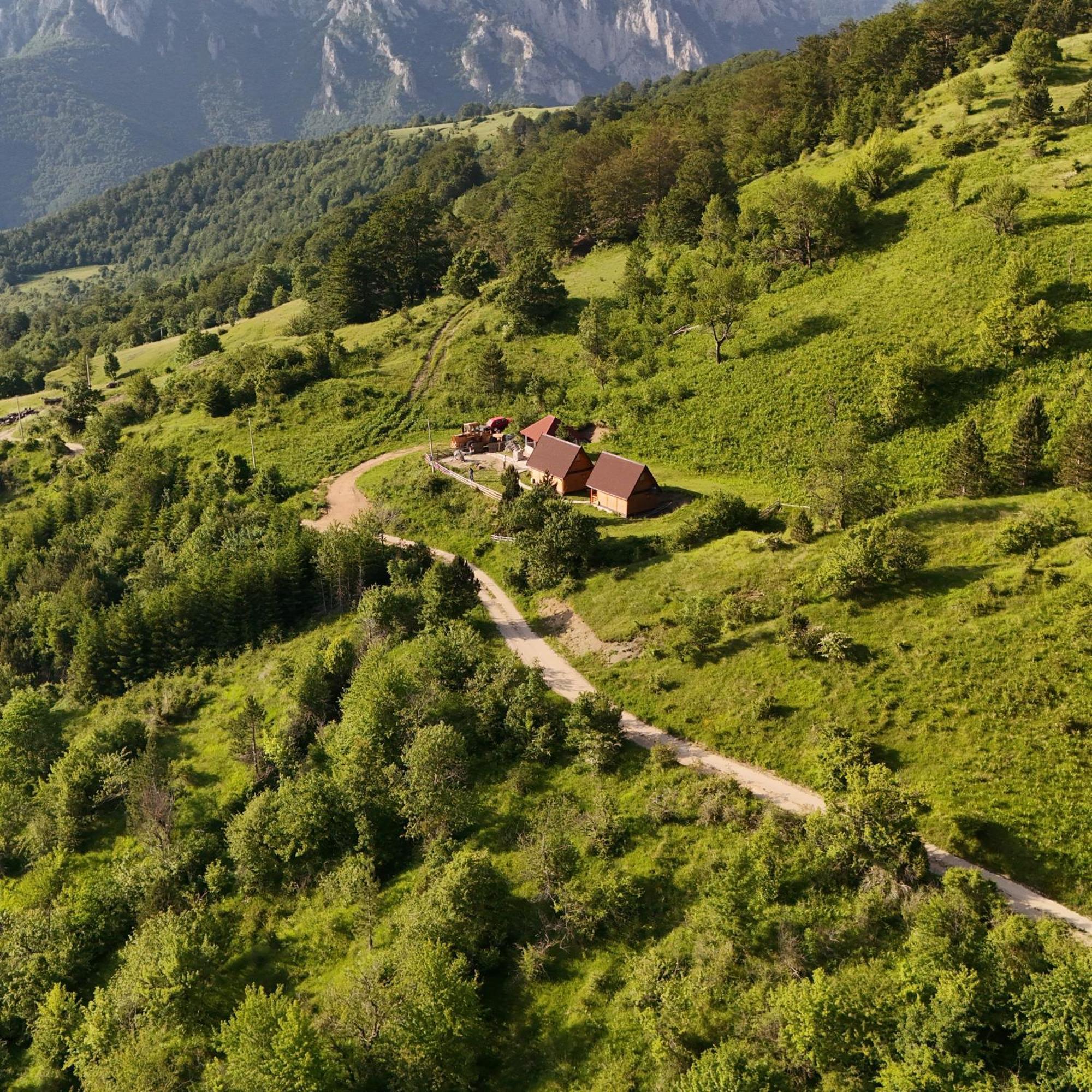 Camp Volujak Dış mekan fotoğraf